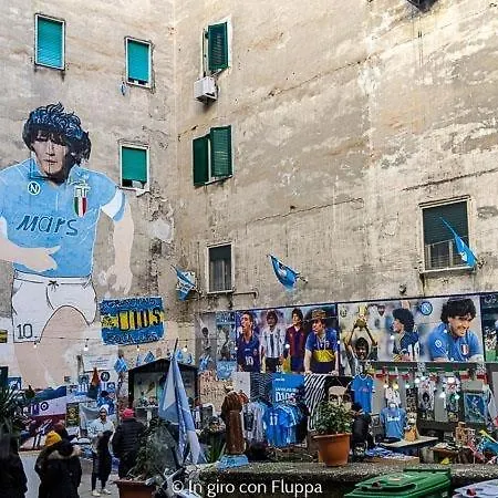 בית הארחה Nadyle House